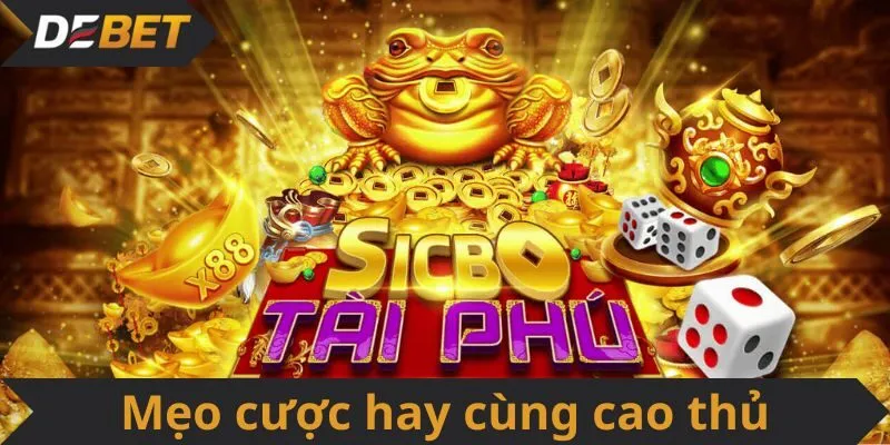 Mẹo cược hay cùng cao thủ